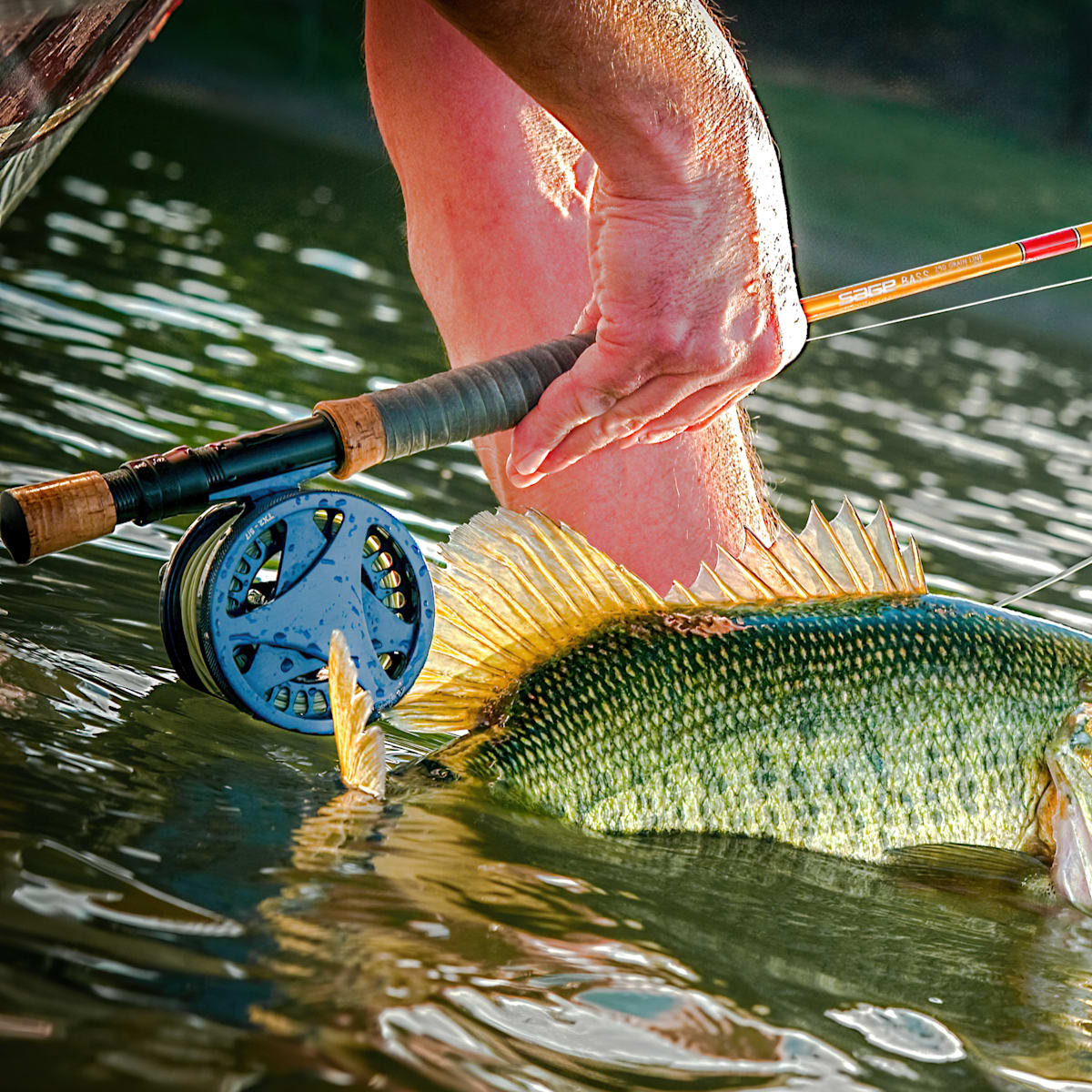 Springtime Bass Buggin - Now is the Time! Epic Fly fishing for Bass.