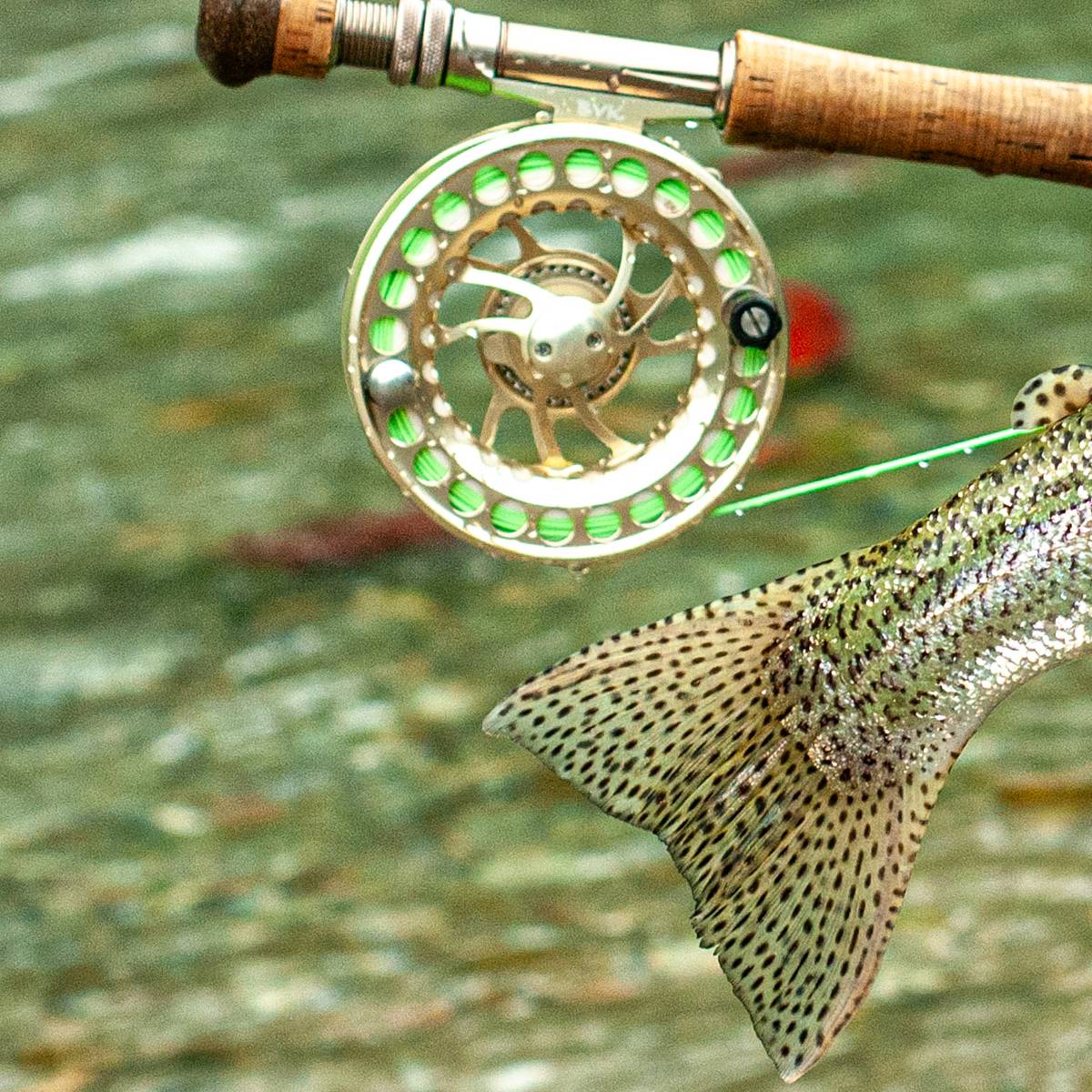 best bass fishing spinning reels forums Bass Fishing Fishing Pole Best Budget Saltwater Spinning Reel Good Length  For Ultralight Panfish Rod? 5'