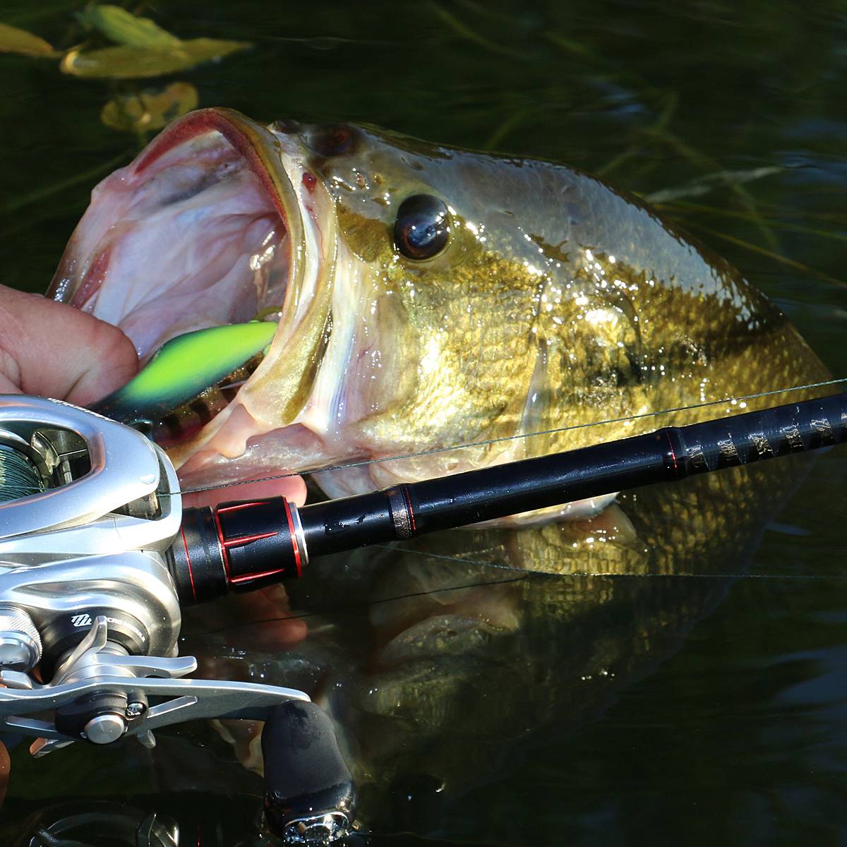 bass pro shops the strike best lures Strike Pro Lure