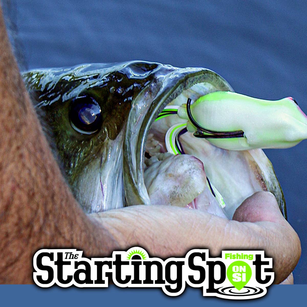 avet hx 5 2 reel 5/2 Two-Speed Fishing abu garcia reel The HX is an Size:3