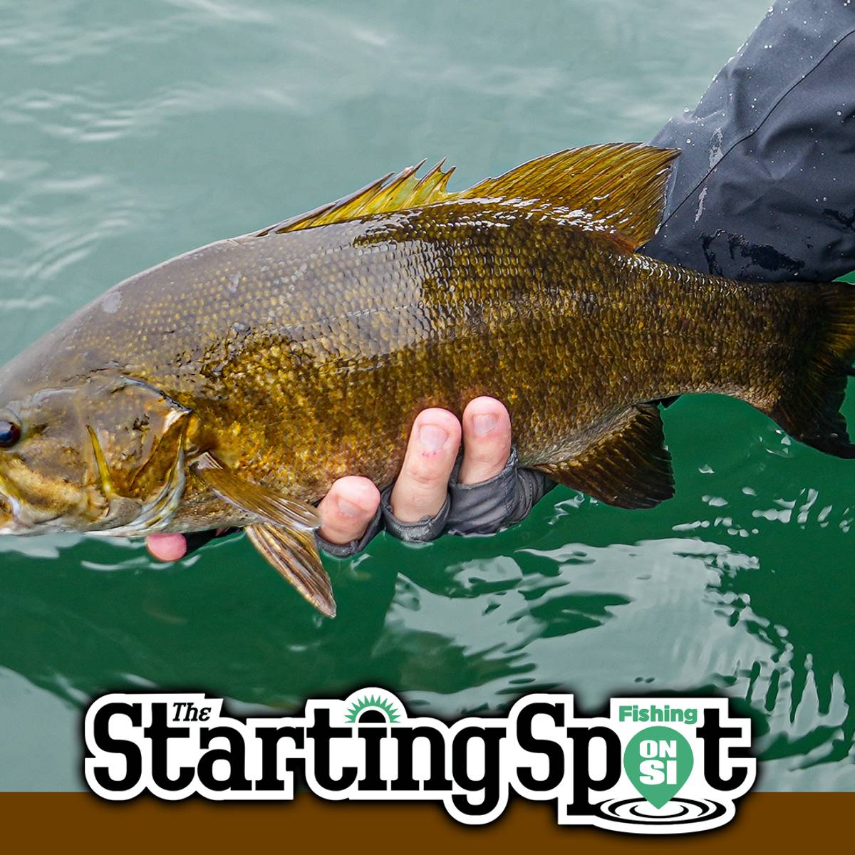 baitcast combo on sale Elite 7' 1 gear ratio for bf23 Abu Garcia Cardinal C3 Model:SLXMGL70XG
