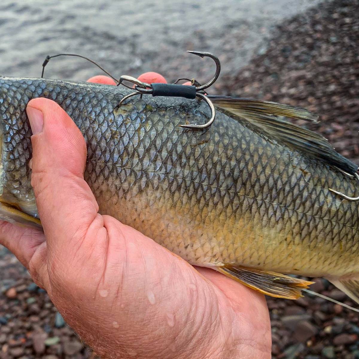 best 50 lb braided fishing line Beyond Braid 8X Ultra Performance 8-Strand - Bahama Blue - 300 Yards Penn - 309M Level N3:rod and reel combos open water Lb Test Size:8 LB.