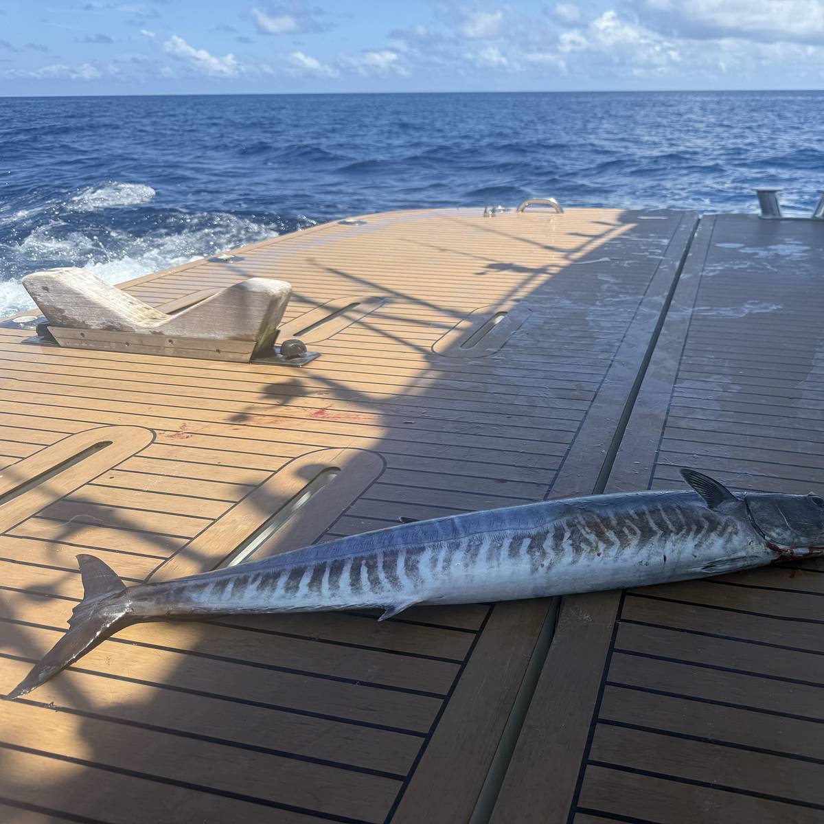 si.com - Joseph Hammond - The Maldives Beyond the Beach: A Sportfishing Paradise