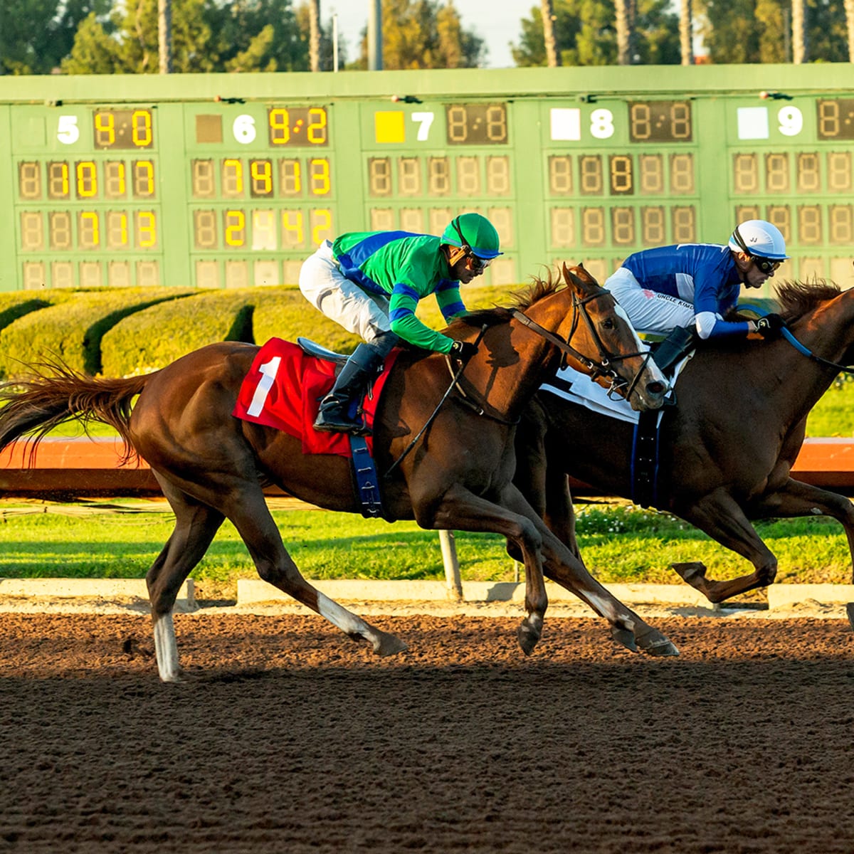 si.com - Daily Racing Form Spotlight for Saturday December 12th: Grade 2 Los Alamitos Futurity