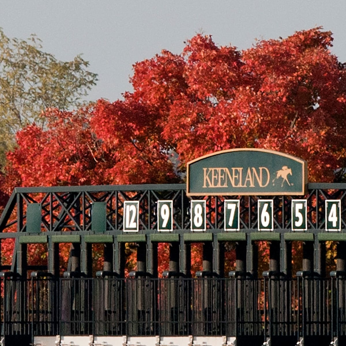 si.com - 2026 Blue Grass Stakes at Keeneland: Picks and Predictions
