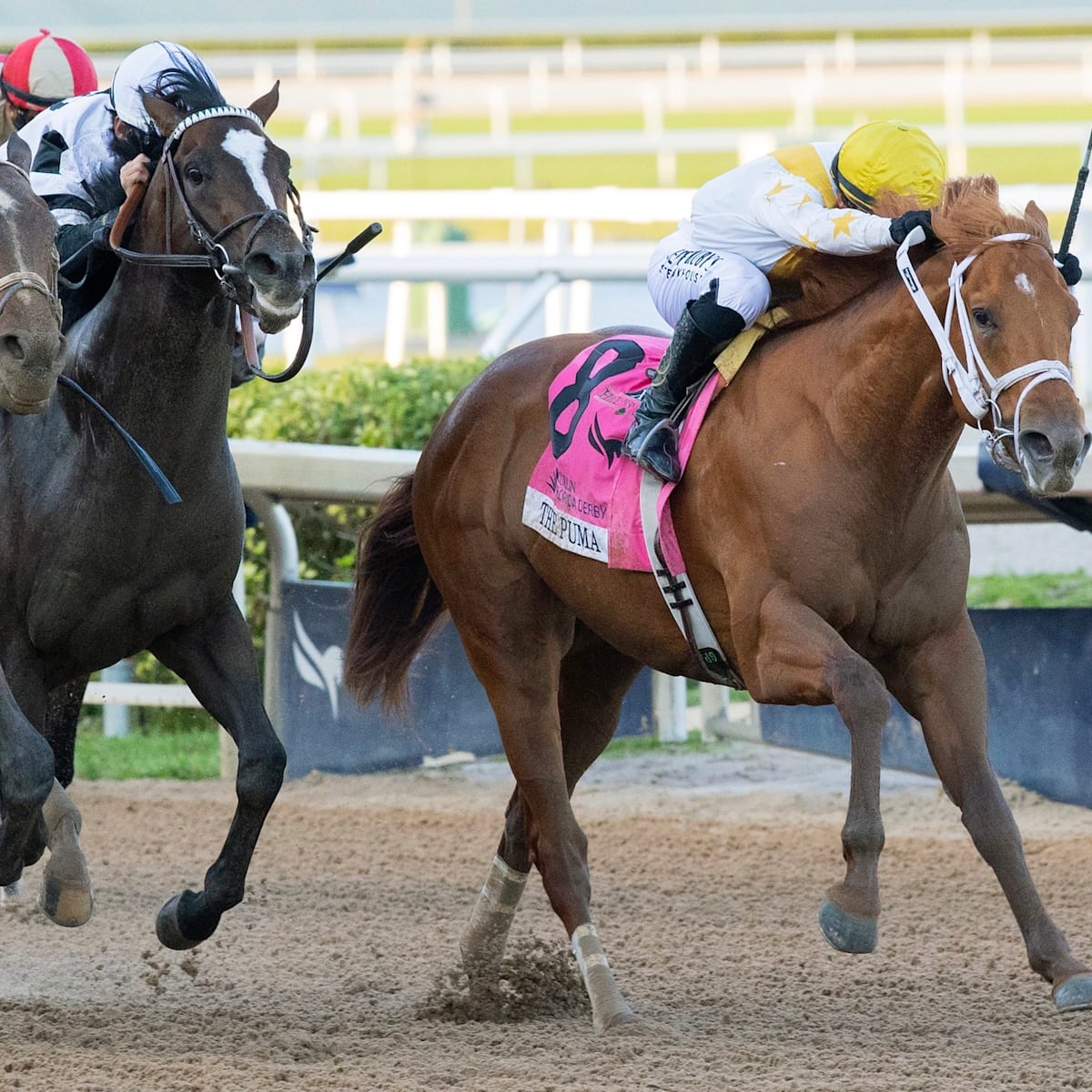 si.com - The Best Picks and Predictions for the Kentucky Derby on May 2nd, 2026