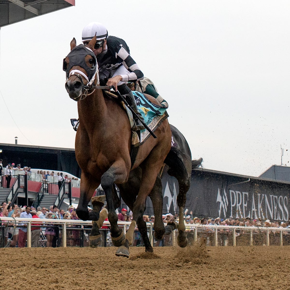 si.com - 2026 Grade 2 Black-Eyed Susan Stakes at Laurel Park: Picks and Predictions