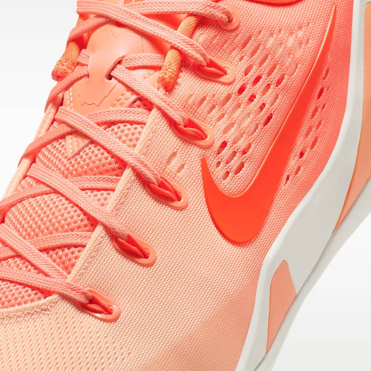 The Nike Kobe 9 Low 