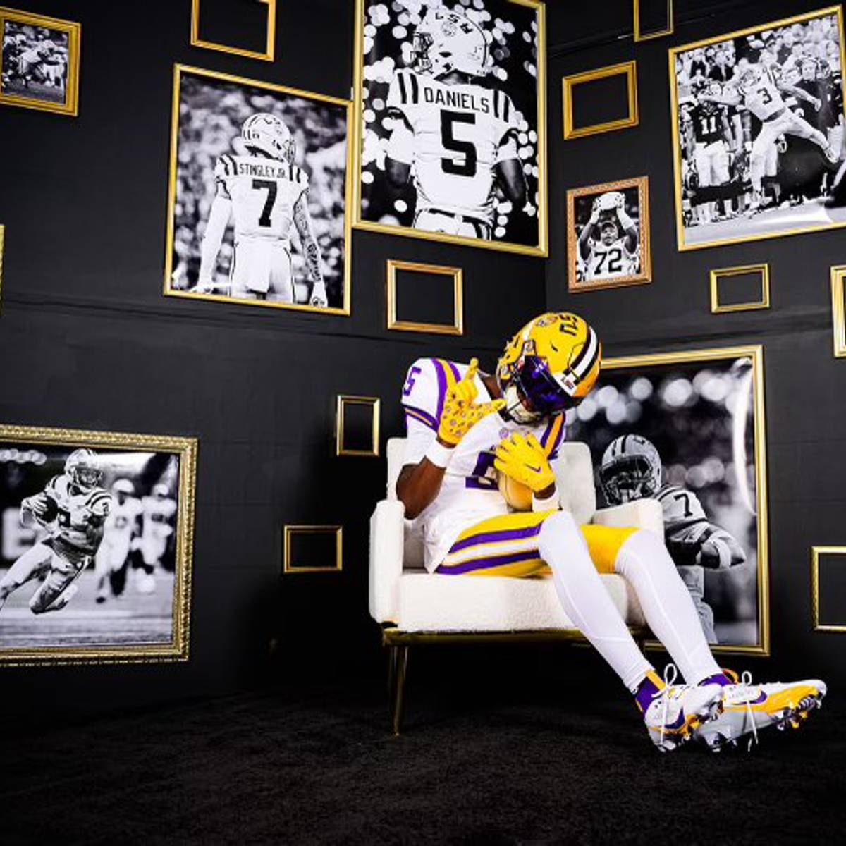cool lsu pictures
