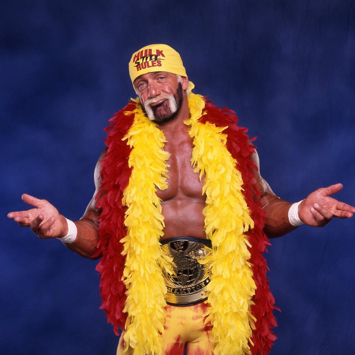 Hulk Hogan - Wikipedia, image size:1200x1200