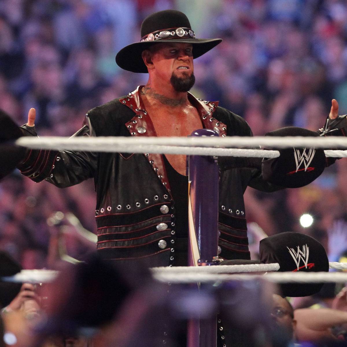 The Undertaker Names Three WWE Stars He Would Have Liked to Wrestle