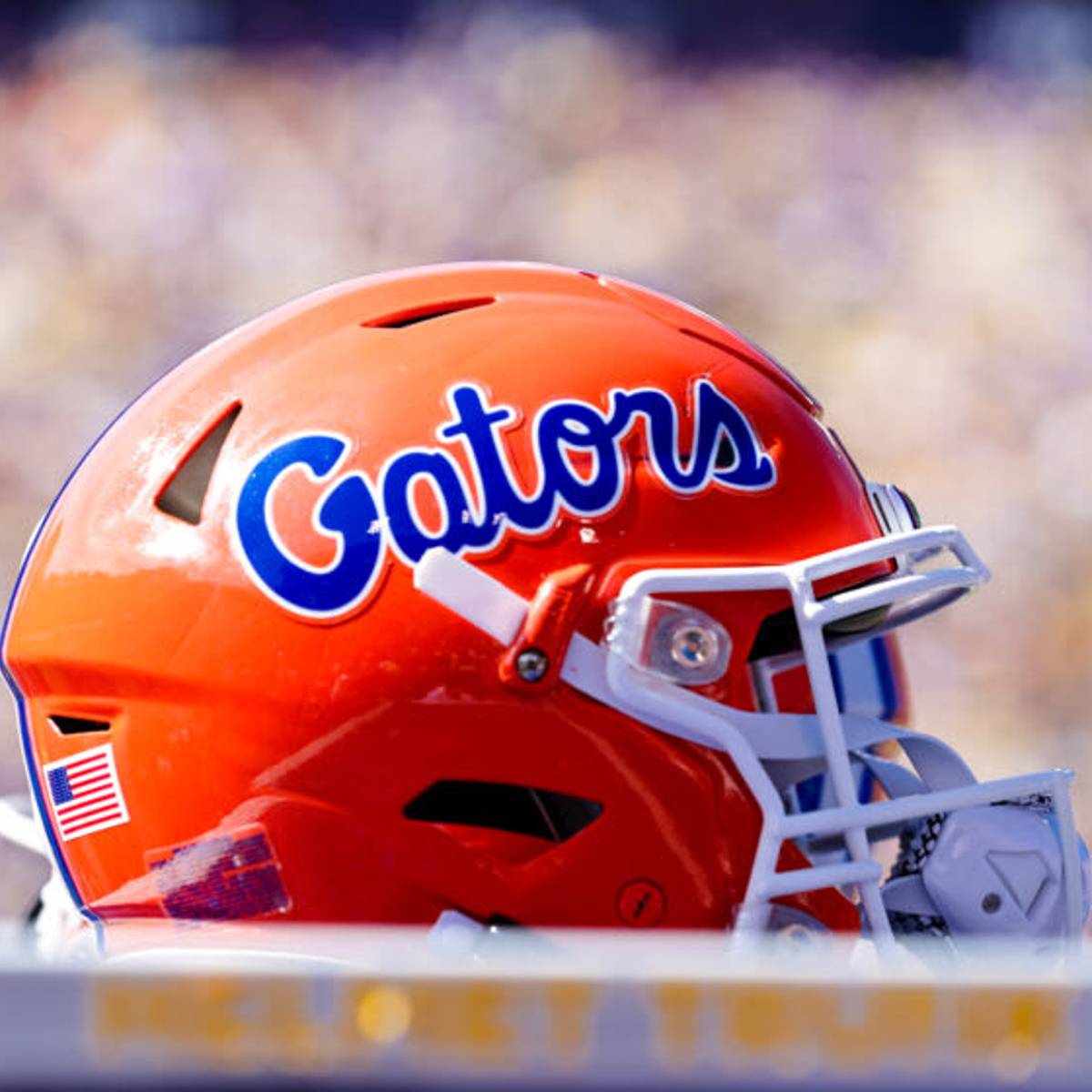 florida football helmet project Gators College Collectible Mini | Picture Inside SP face mask FLORIDA GATORS🐊 logo redesign! 15%