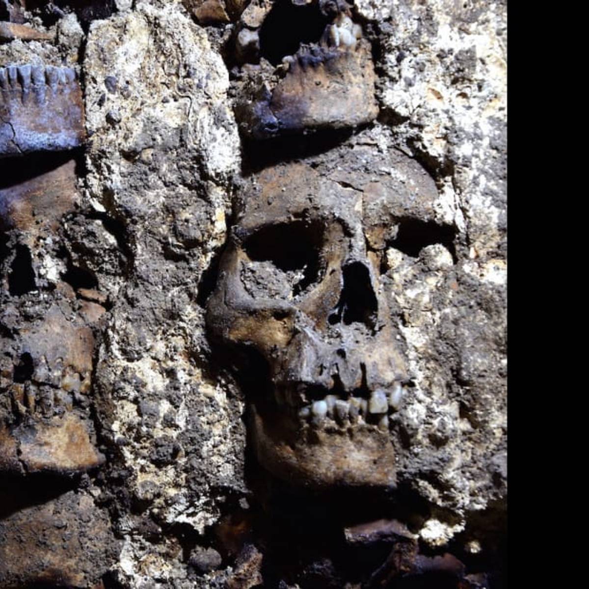 邦楽 L SKULL G.A.T.E.S. ZOUO GISM Archaeologists Uncover a Wall Made of 119 Skulls at Mexico City's