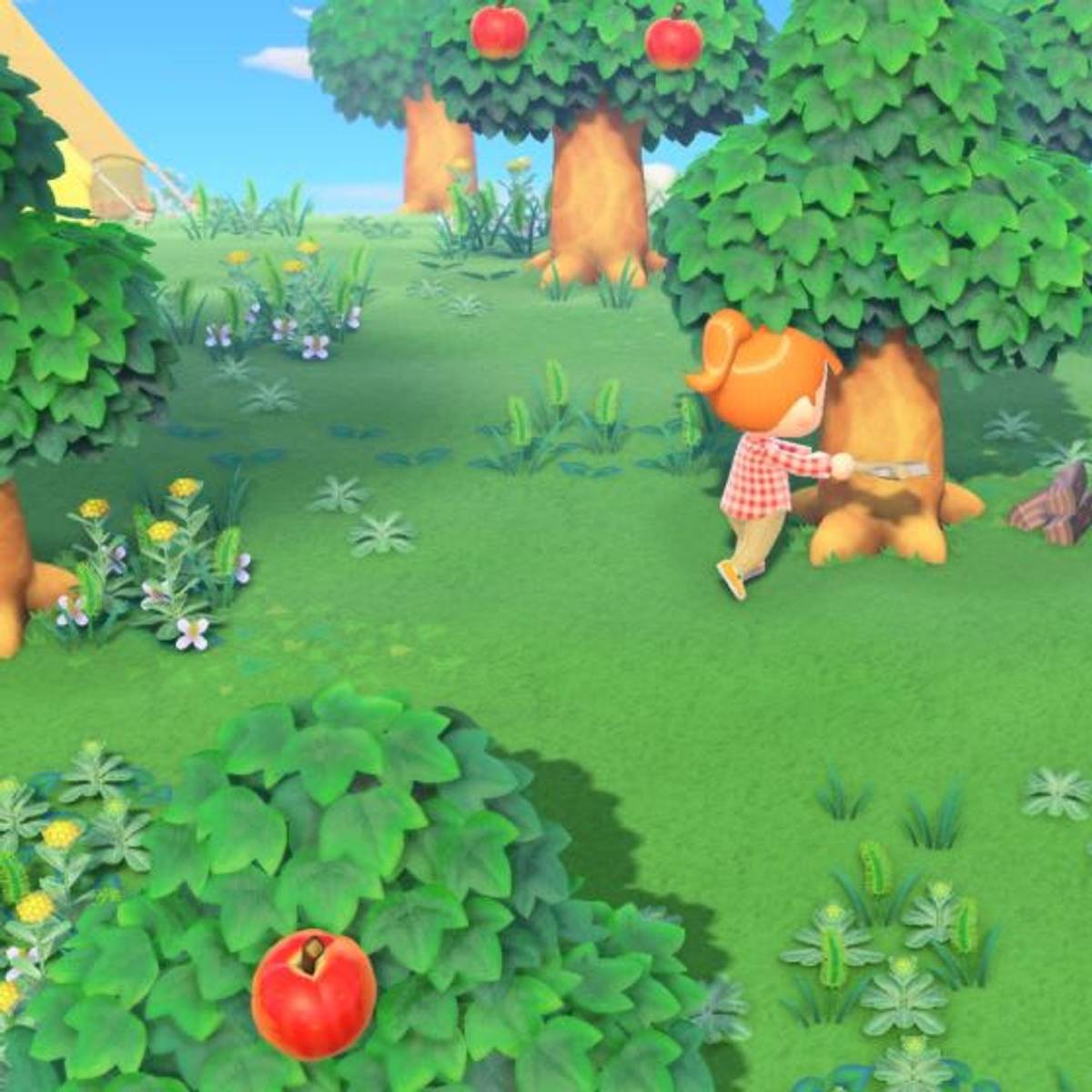 Animal Crossing: New Horizons: How to plant a Money tree