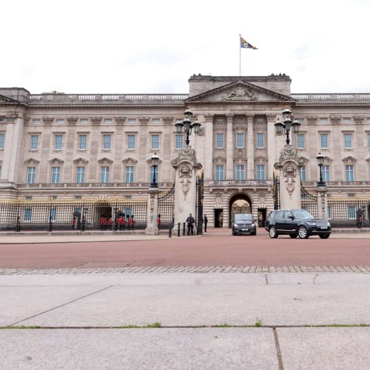 専用❗️リリパット165☆Buckingham Palace 【公式通販】