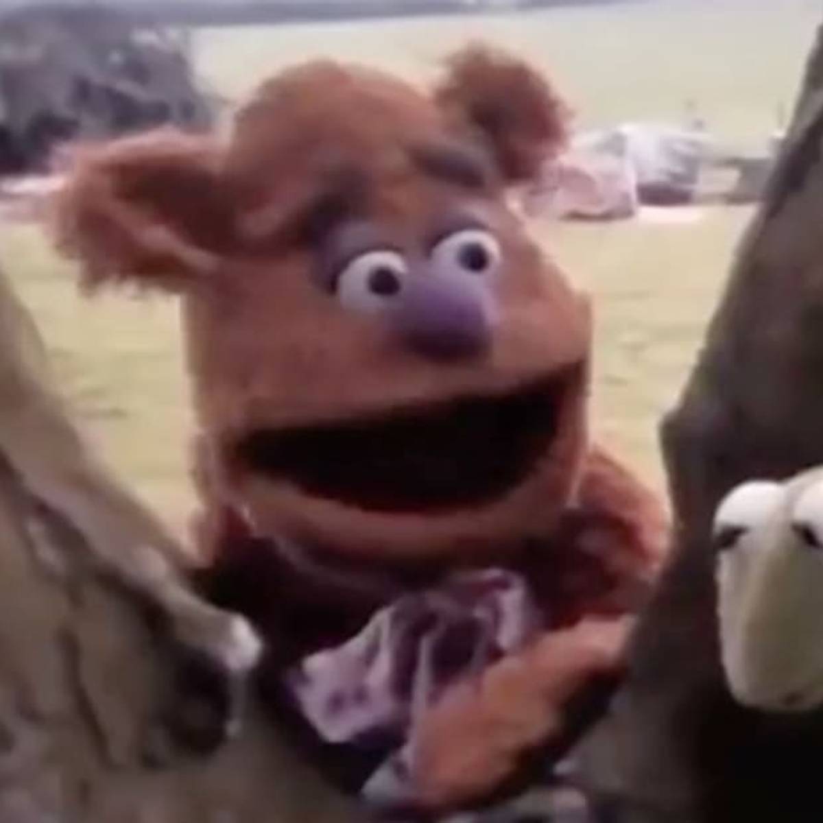Watch Early Test Footage for The Muppet Movie