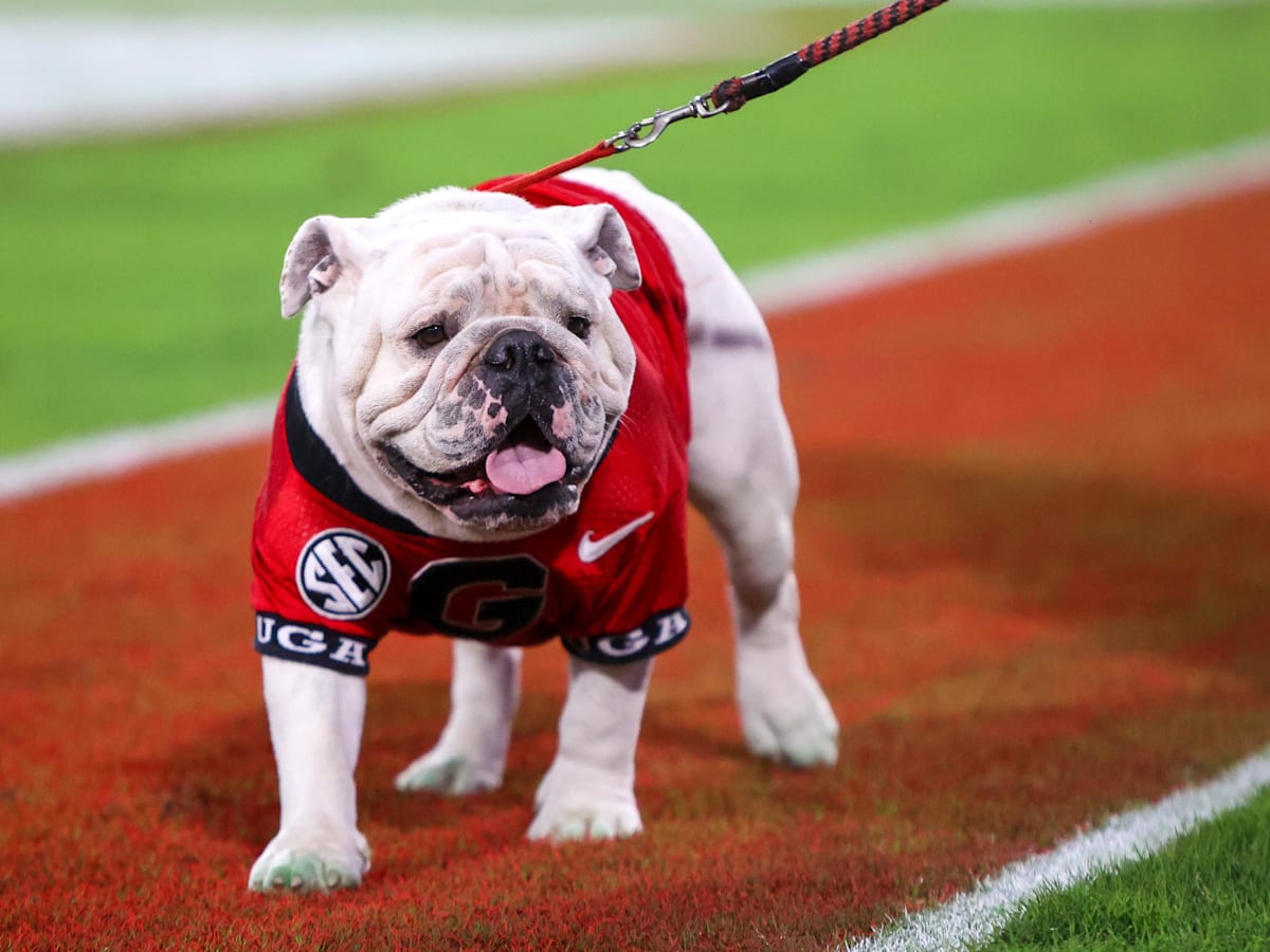 Former Georgia Bulldogs Defensive Back Announces Transfer Portal