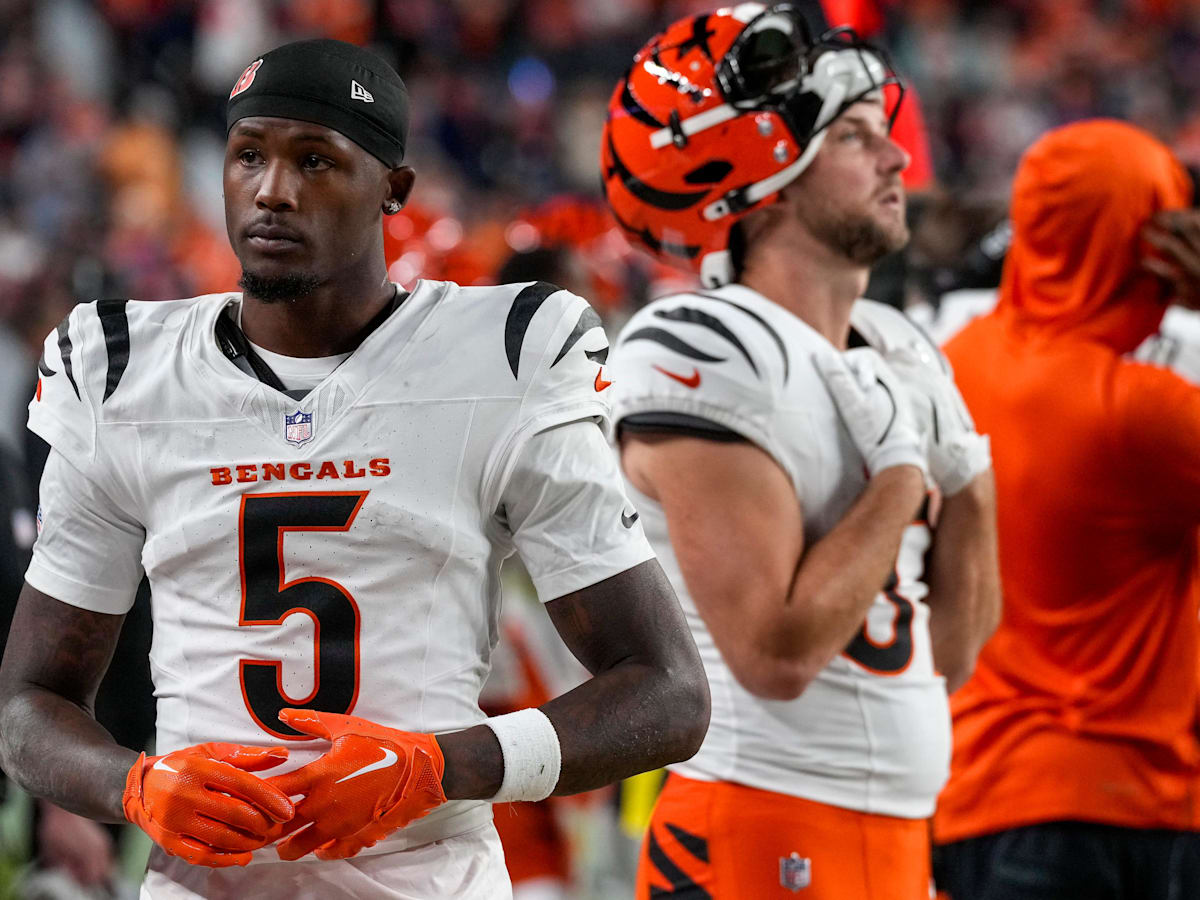 Fantasy Football Week 7 Start 'Em Sit 'Em: Tee Higgins vs. DK Metcalf