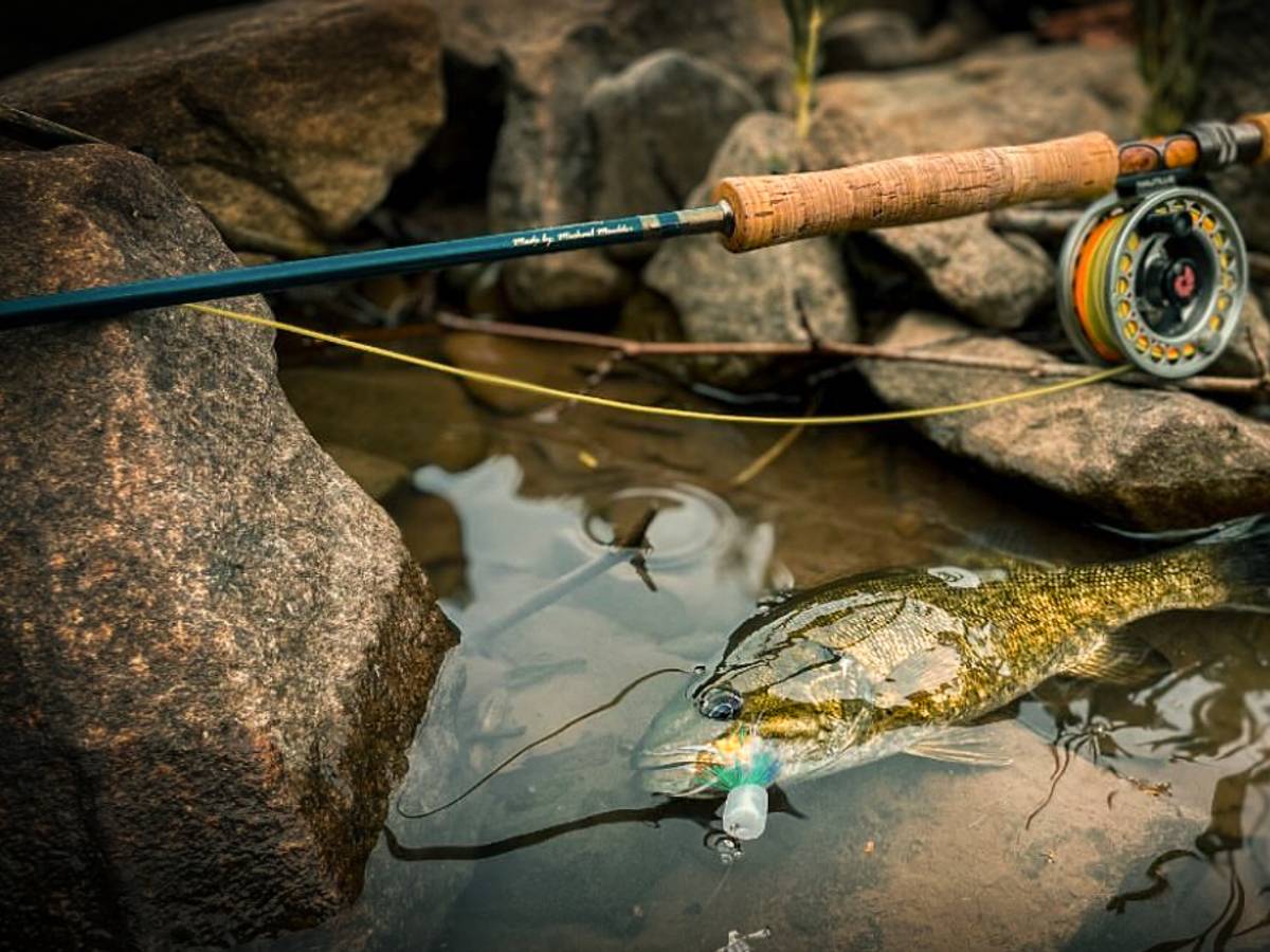best smallmouth fly reel The Top 6 Flies for Smallmouth Bass That Will Catch More Fish