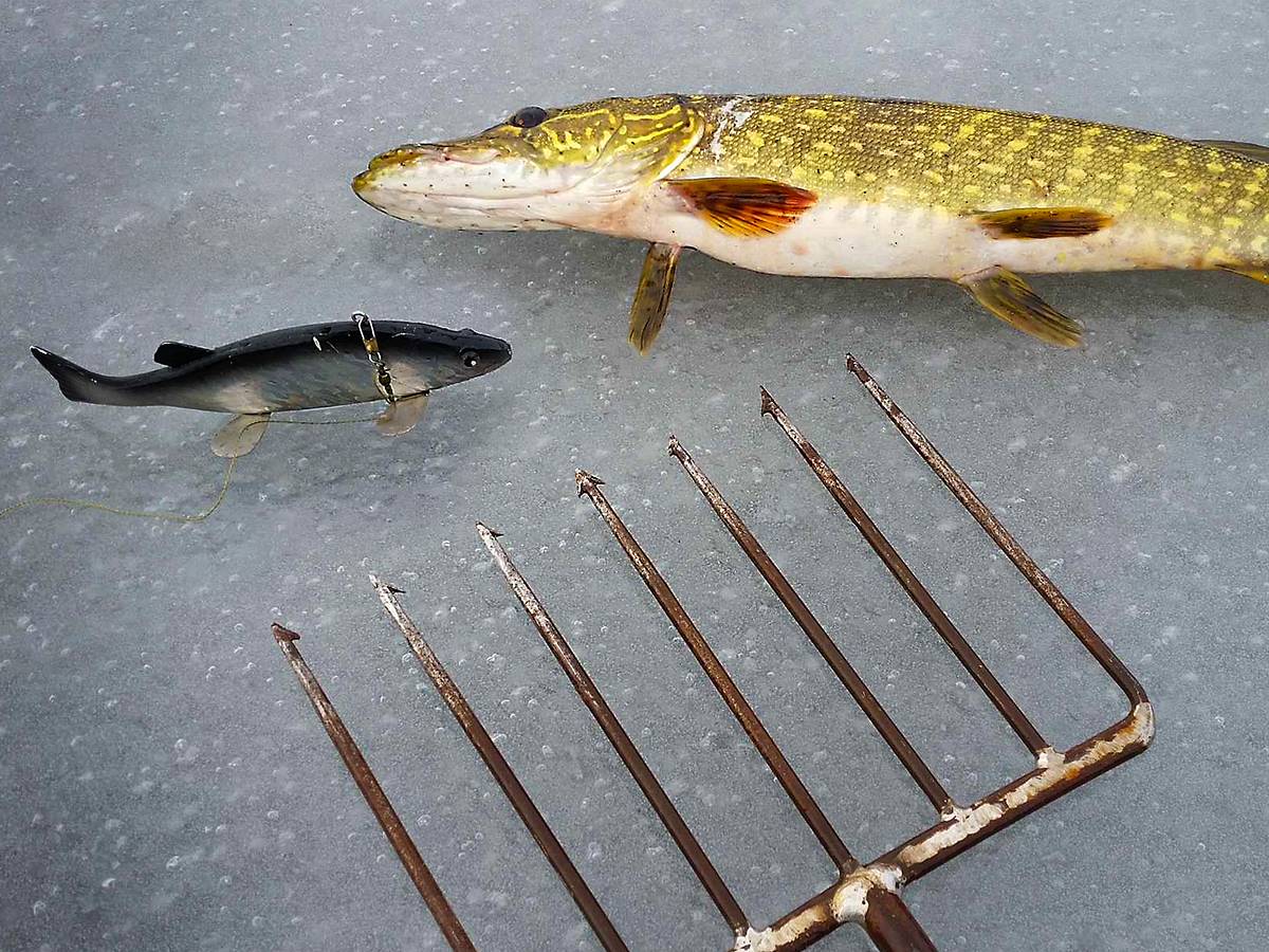 antiqueice fishing lures Vintage Lobster Fish Spear Decoy The author traveled to 11 states and 3 Candian Providences visting collectors homes The Fun and Artistry of