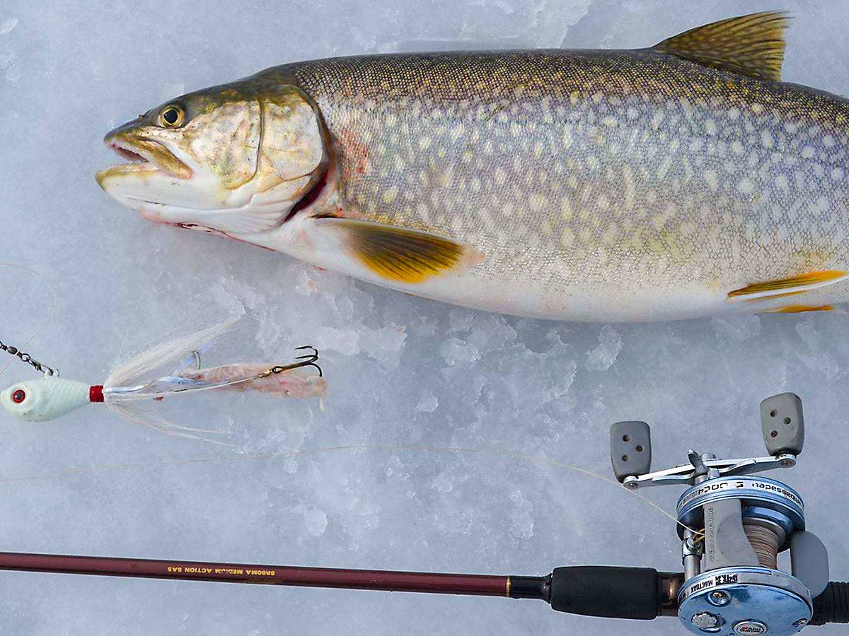 Ice Fishing for Lake Trout: Tips and Tactics to Catch Winter's Ultimate  Trophy Fish