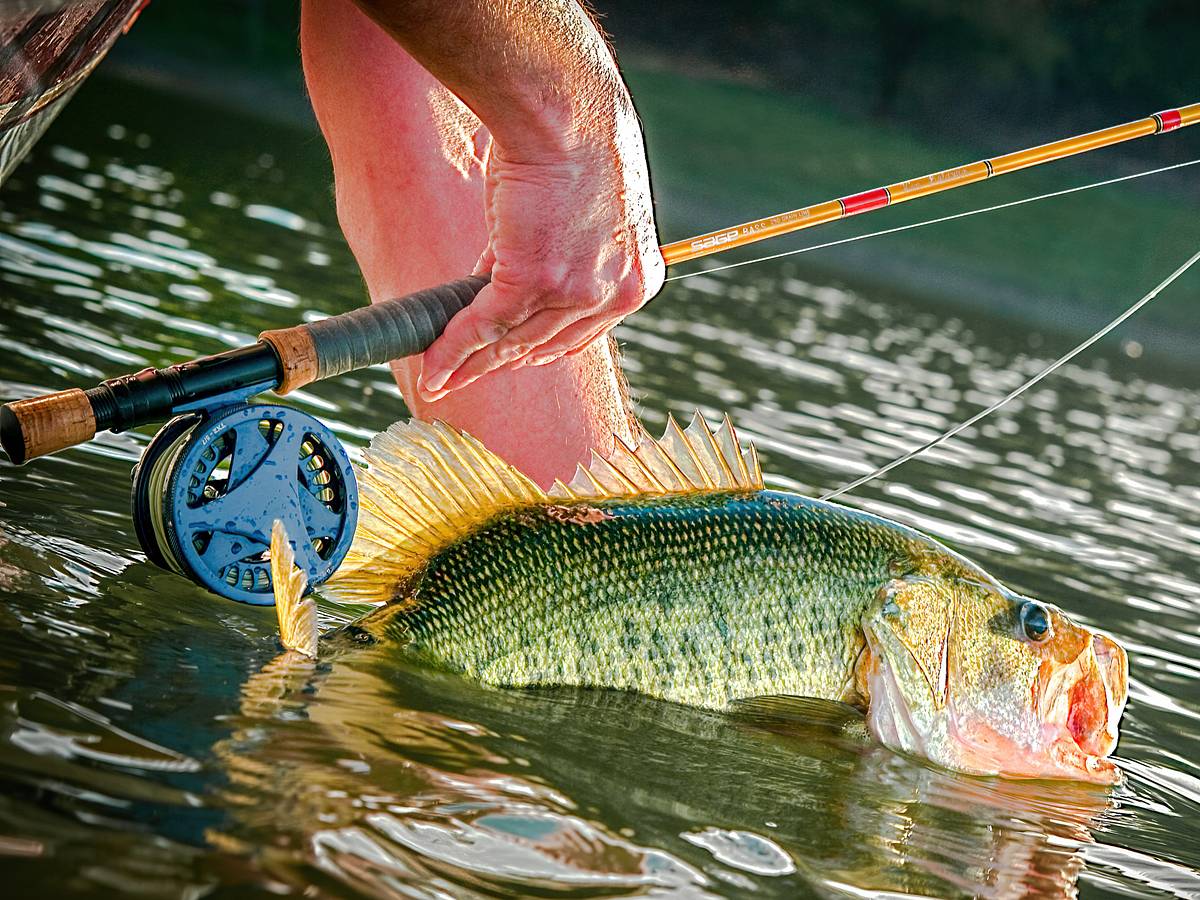 bass fishing rod weight fly fishing SuperFly 7'6" 5/6 WT Reel/Rod Combo With Line FCL-765  die cast aluminum fly reel What Is A 6 Weight