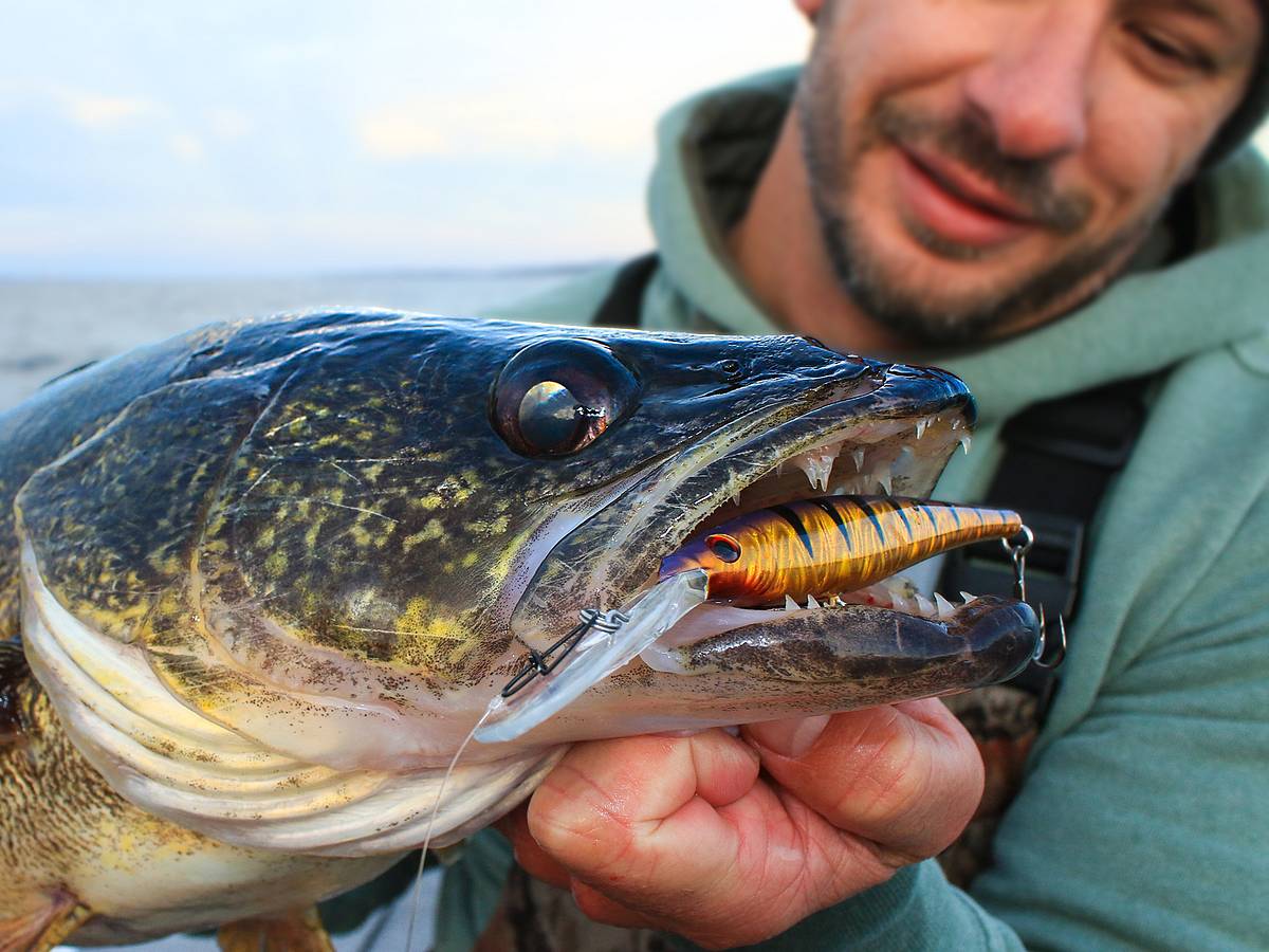 california flyer flying fish lure kit MagBay Lures 8