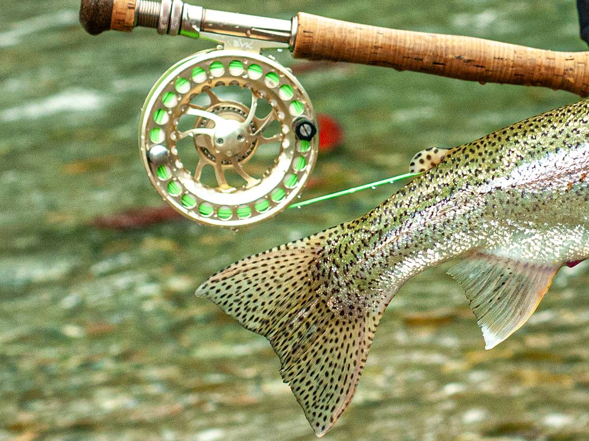 best ice fishing line deep water reels Lightweight Ice Fishing Reels: 3 Tips to Pick the Perfect Gear  Goofish  Rod-More than fishing