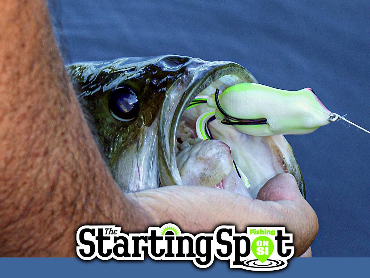 The Starting Spot: Ready for Northern Bass, a 16.5 Arizona Largemouth, and the Greatest Fishing Story Ever Told The Starting Spot: Ready for Northern Bass, a 16.5 Arizona Largemouth, and the Greatest Fishing Story Ever Told