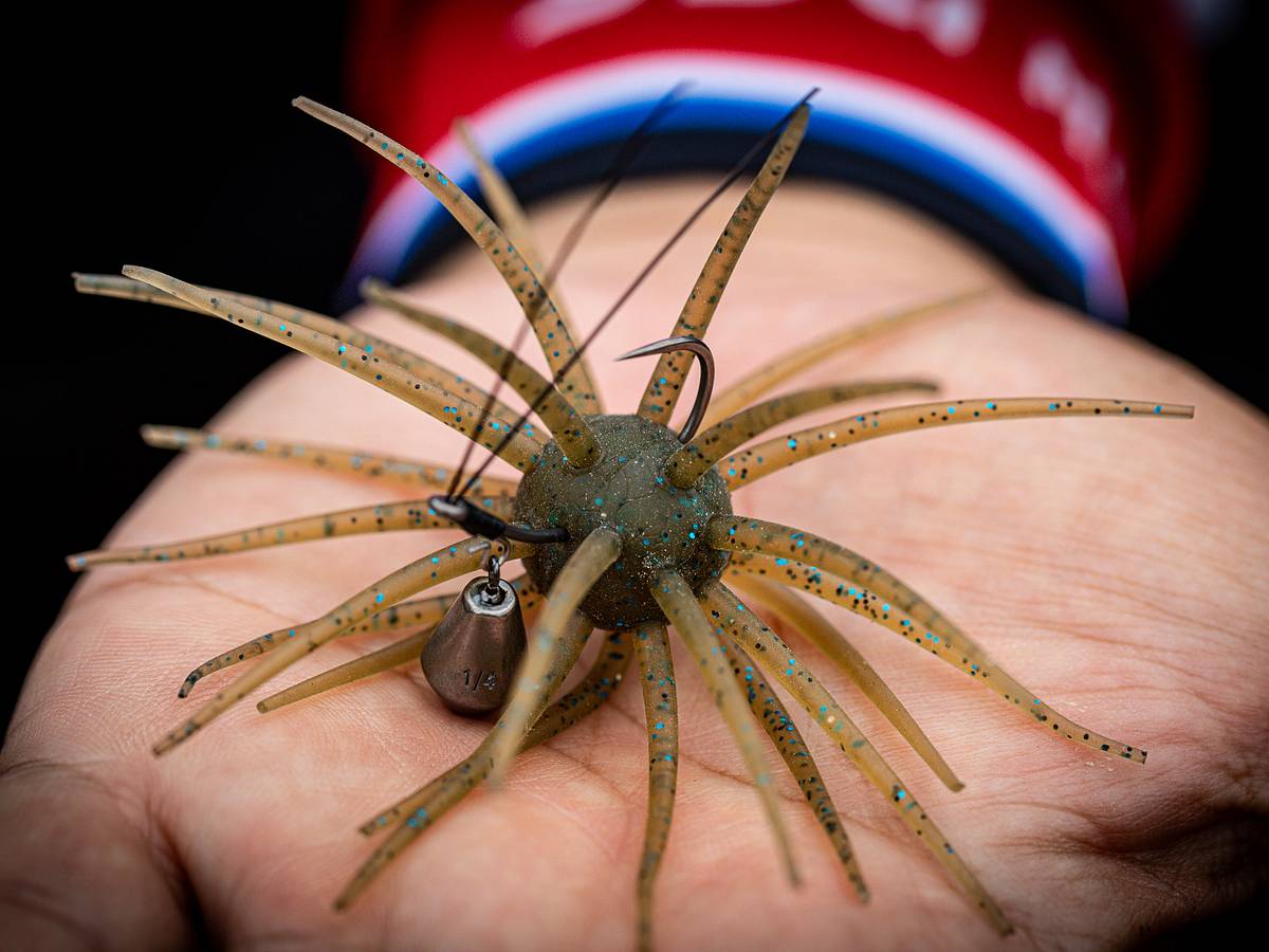 The Strange Spiny Lure Taking Over Bass Fishing in 2026 The Strange Spiny Lure Taking Over Bass Fishing in 2026