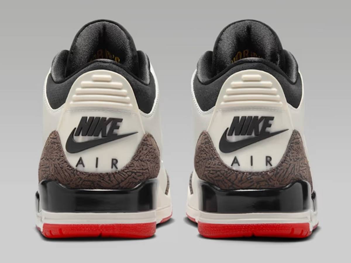 The Air Jordan 3 