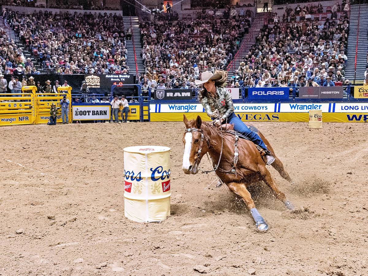 Vintage Pink Barrel Racer By Eddie Brothers Includes Pink Faux Earrings Barrel Racers Earn Their Piece of the $4.1 Million Massive  main image 4