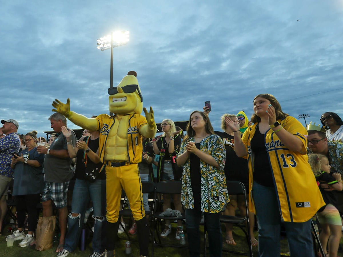 01j9h0q4hh26jj8a0hjp-