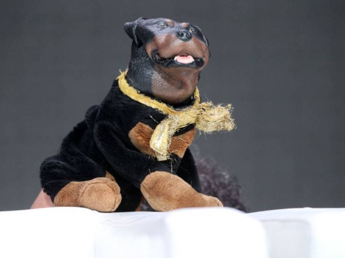 Triumph the Insult Comic Dog finally caught up with Ted Cruz