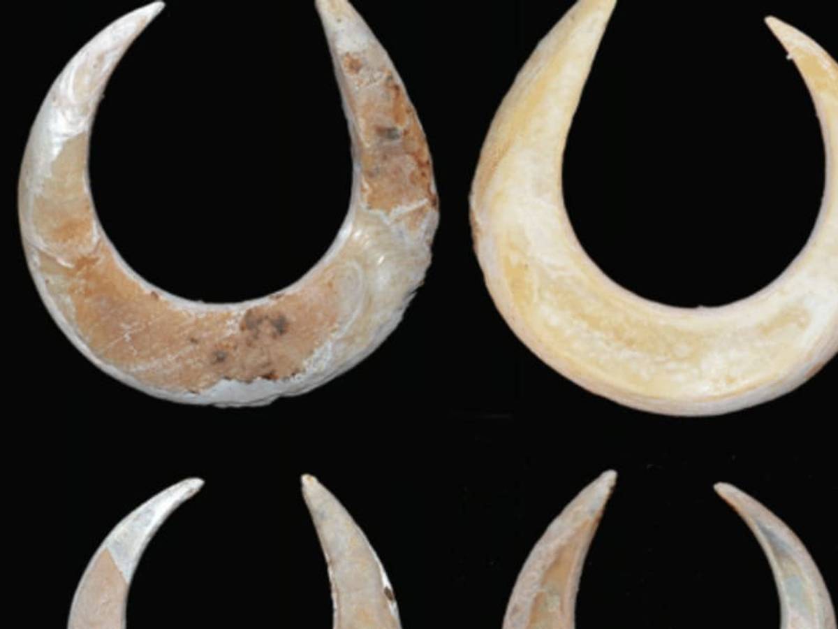 These 12,000-Year-Old Fish Hooks Are the Oldest to Ever Be Discovered in a  Grave