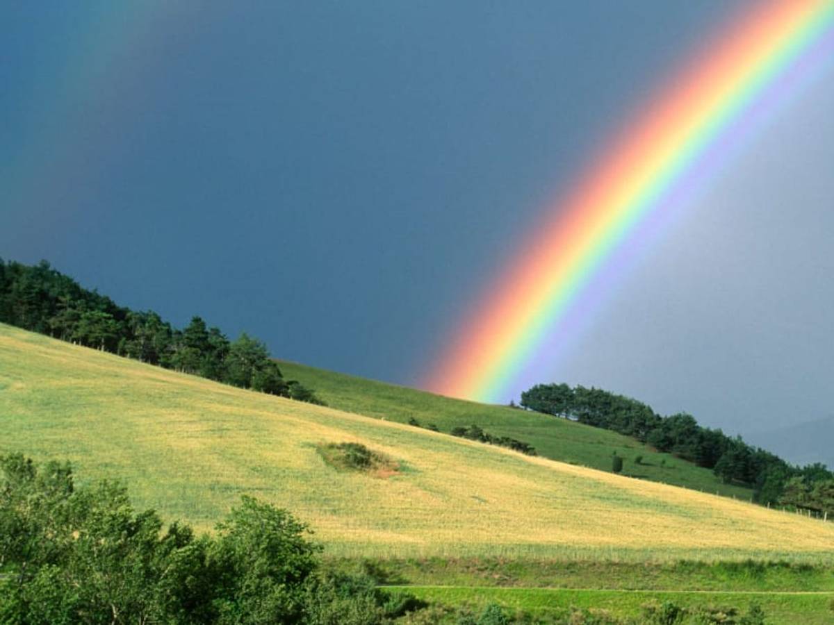 Rainbow Disconnection: Why No Two People Can Ever See the Same Rainbow