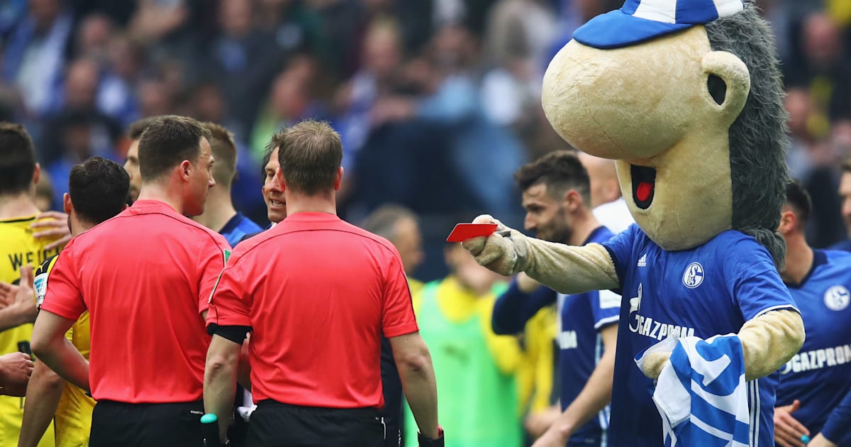 Schalke Mascot Erwin Faces Punishment From German Fa For Showing Referee A Red Card 90min