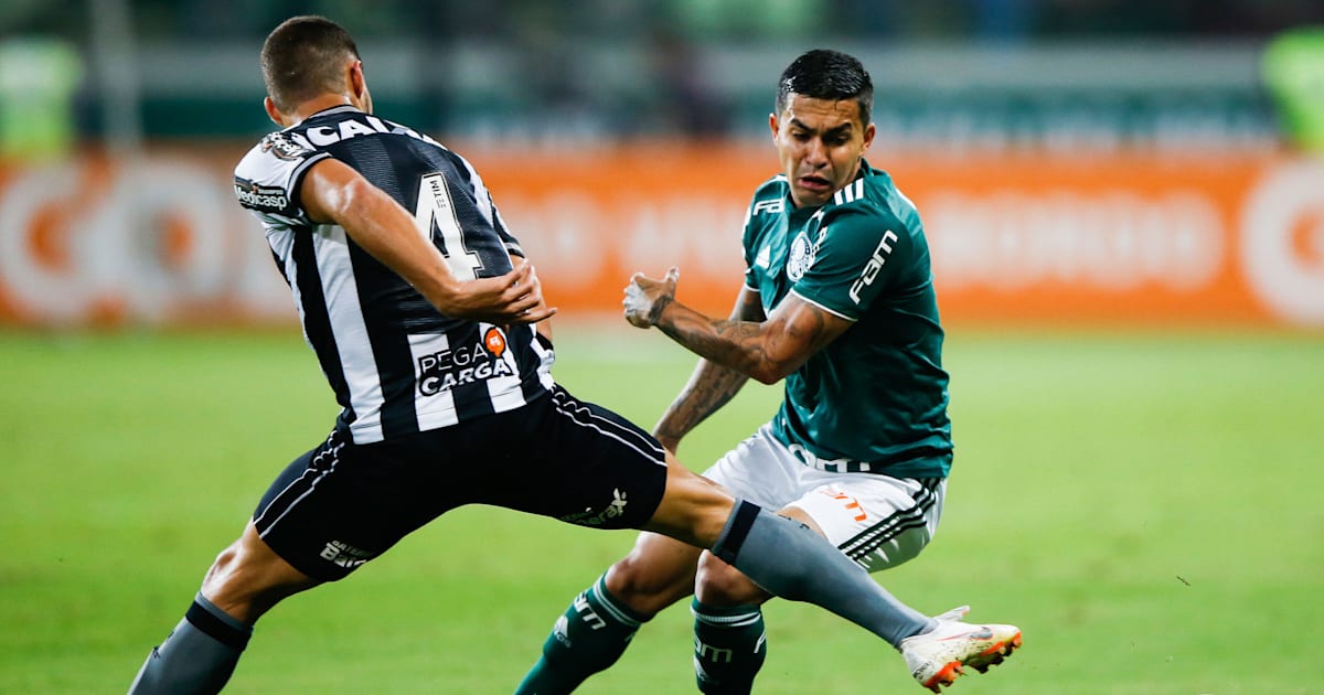 Botafogo x Palmeiras | Horário, local, onde assistir ...