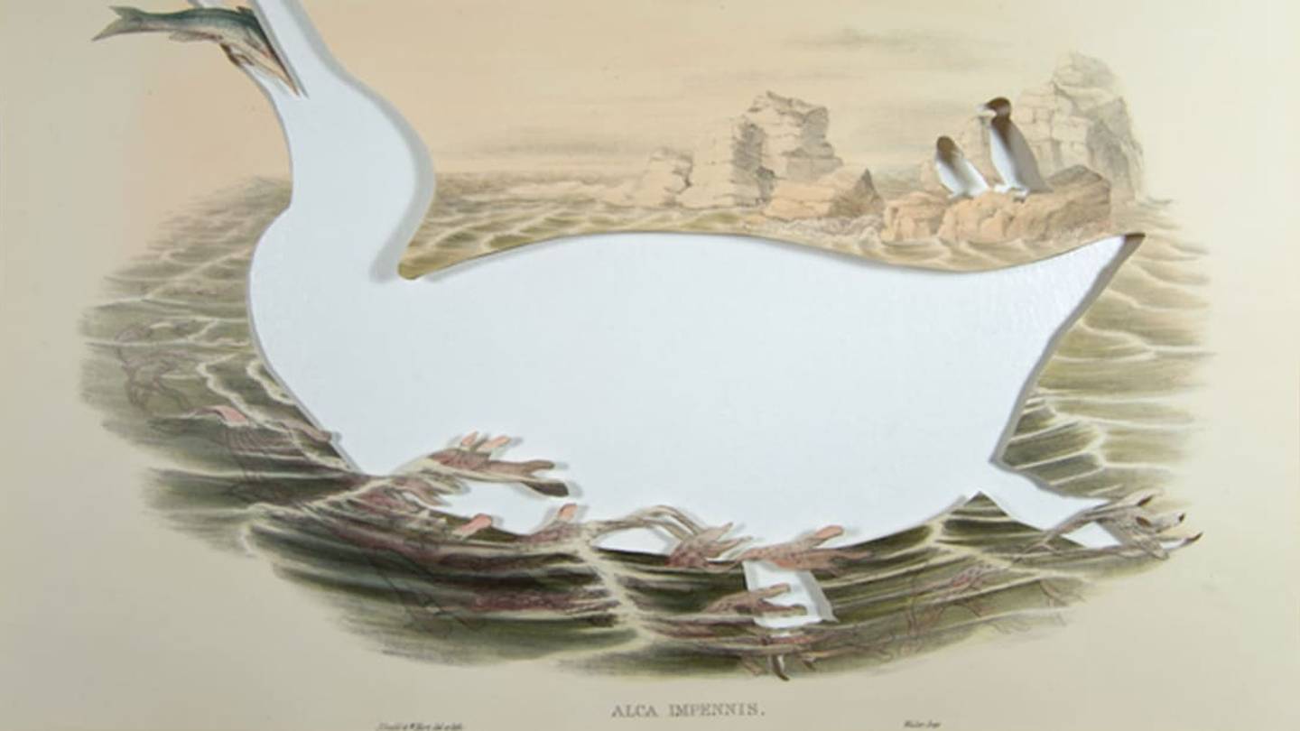 Artist Cuts Extinct Animals Out of Their Illustrations