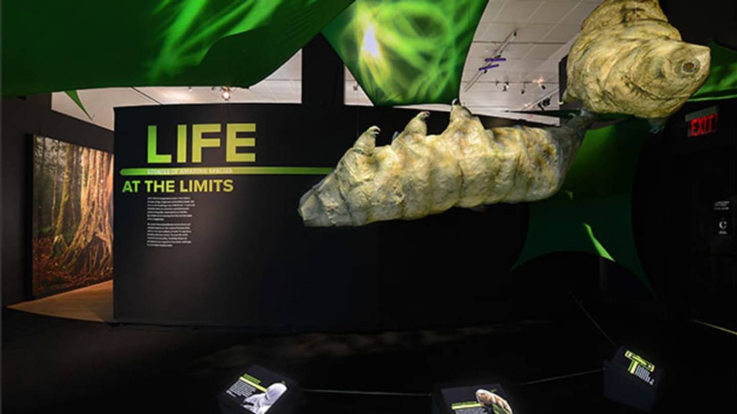 10 Extreme Animal Facts from AMNH's New Exhibition