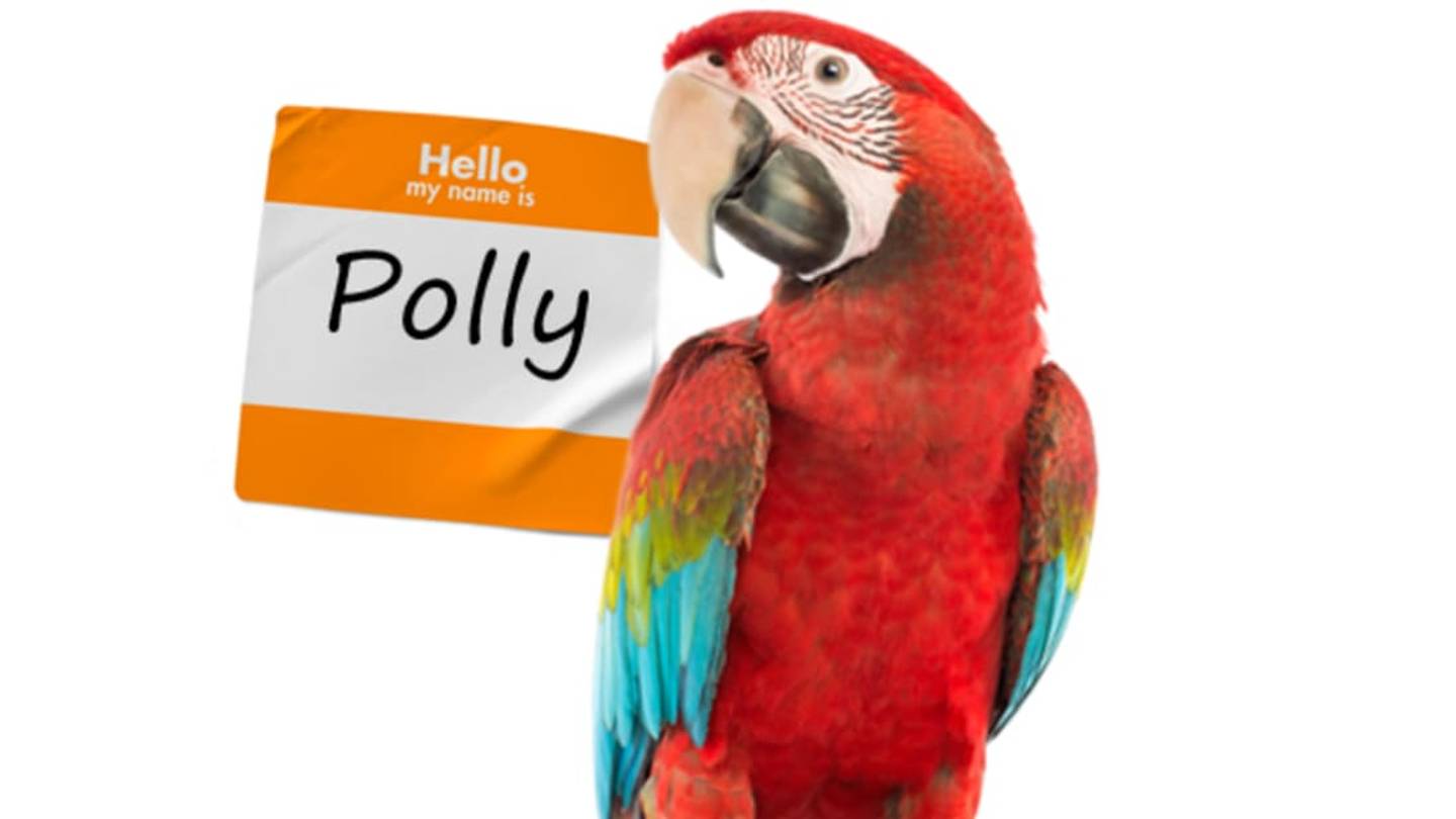 Why Do We Call Parrots "Polly"?