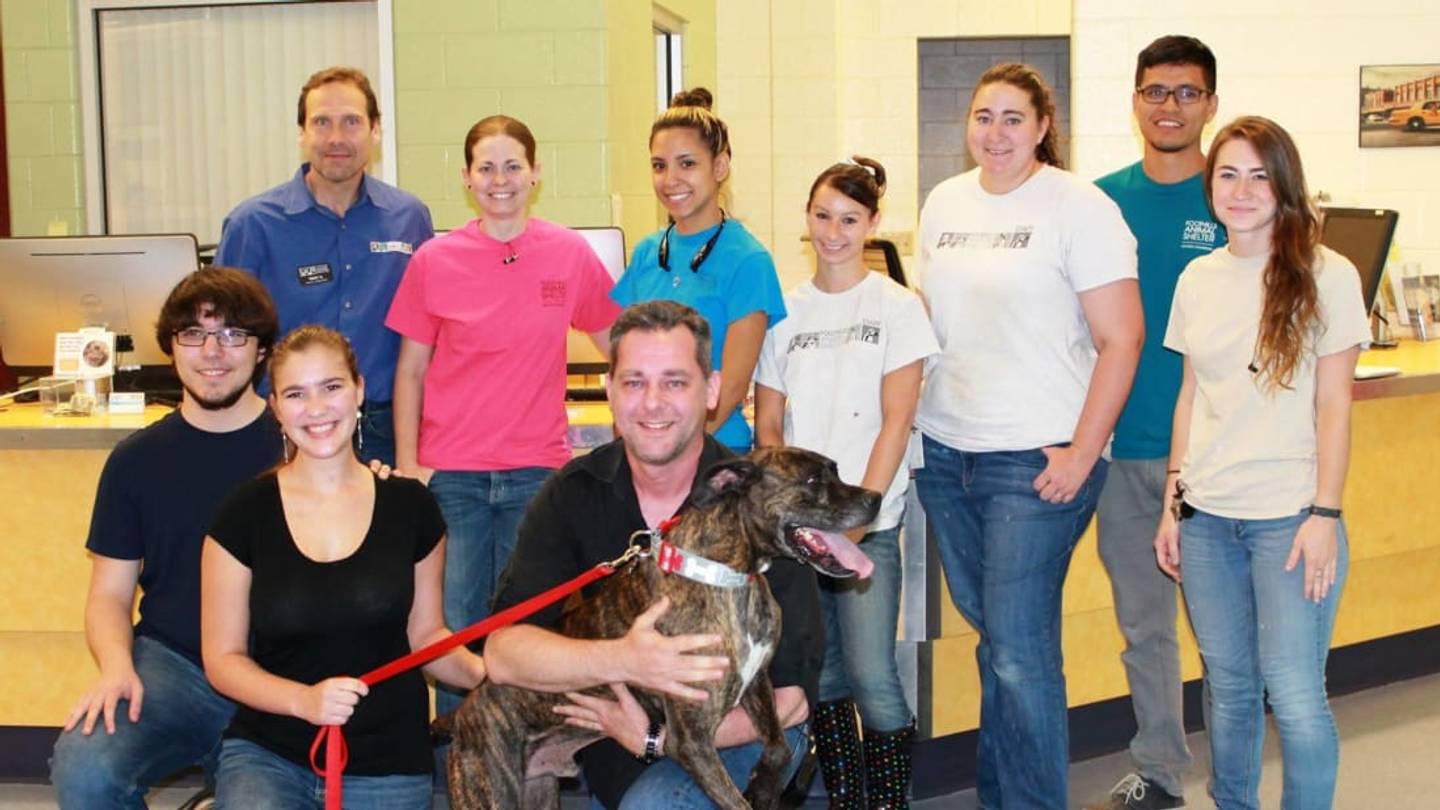 15 Amazing Animal Reunions