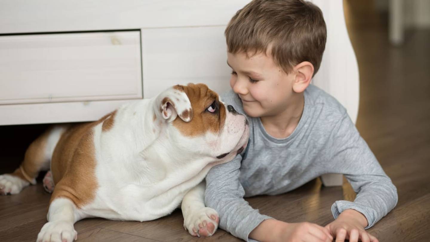 Is a Dog's Mouth Really Cleaner Than a Human's?