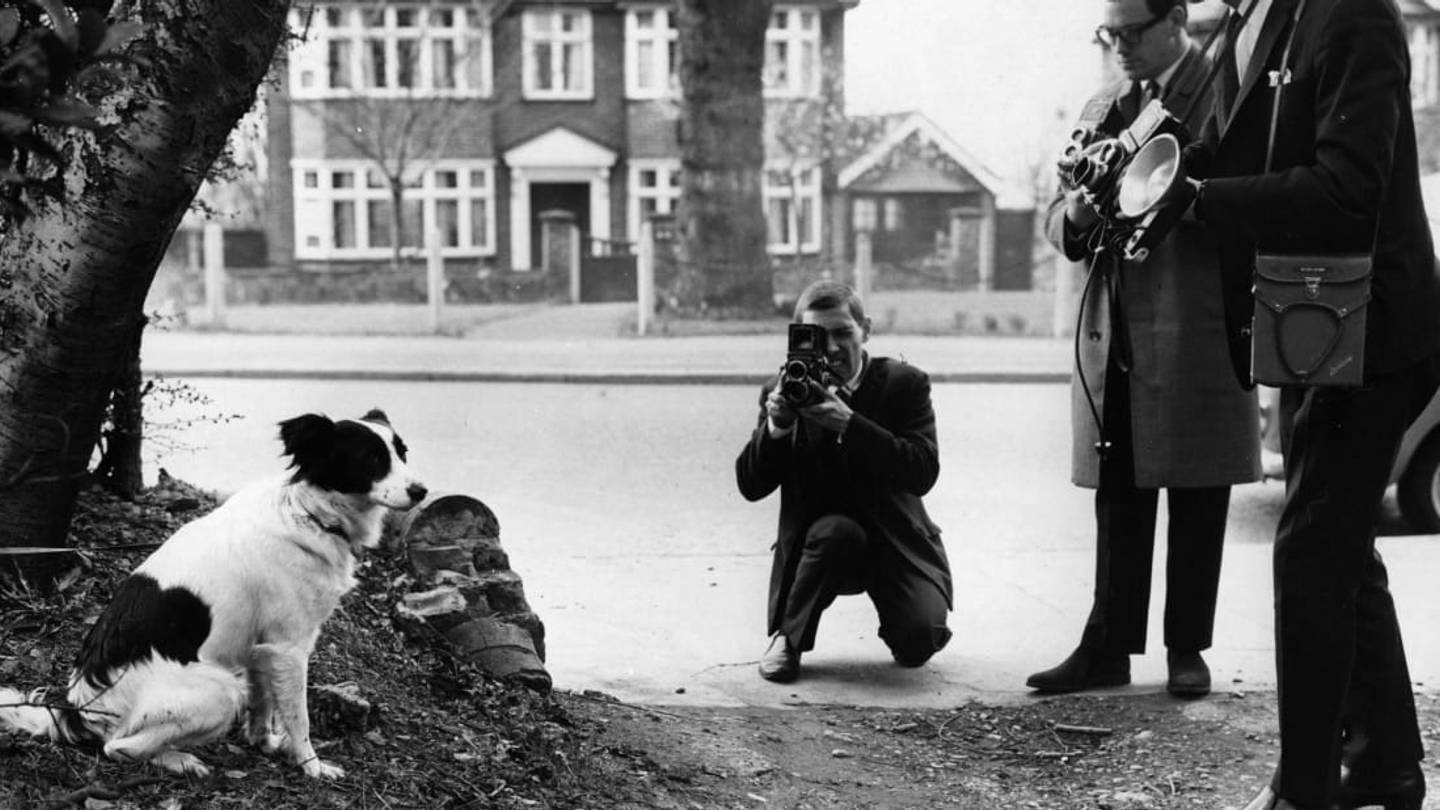 The Dog Who Saved the World Cup for England