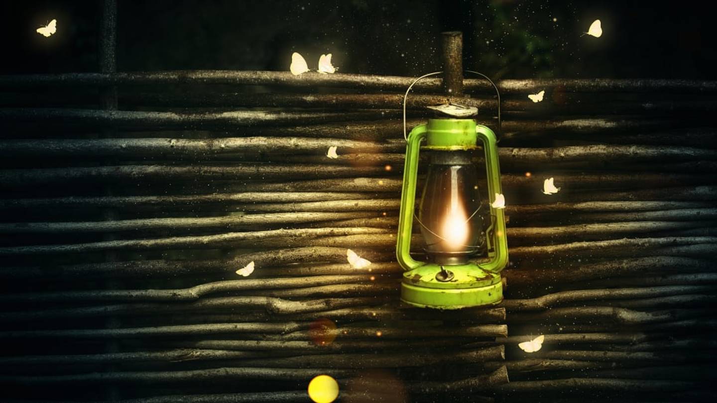 Why Are Moths Drawn to Flames?