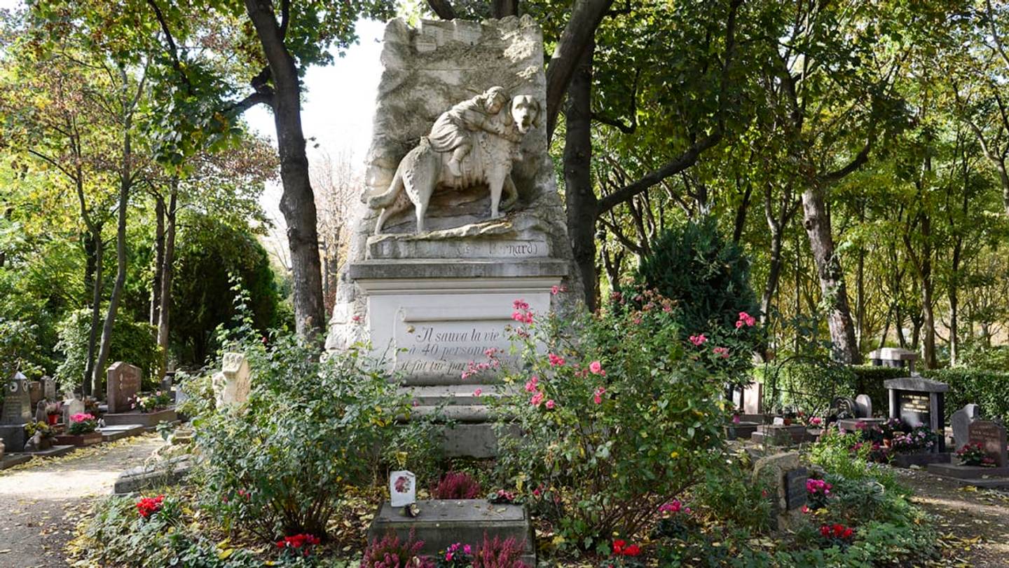 12 Fascinating Pet Cemeteries Around the World