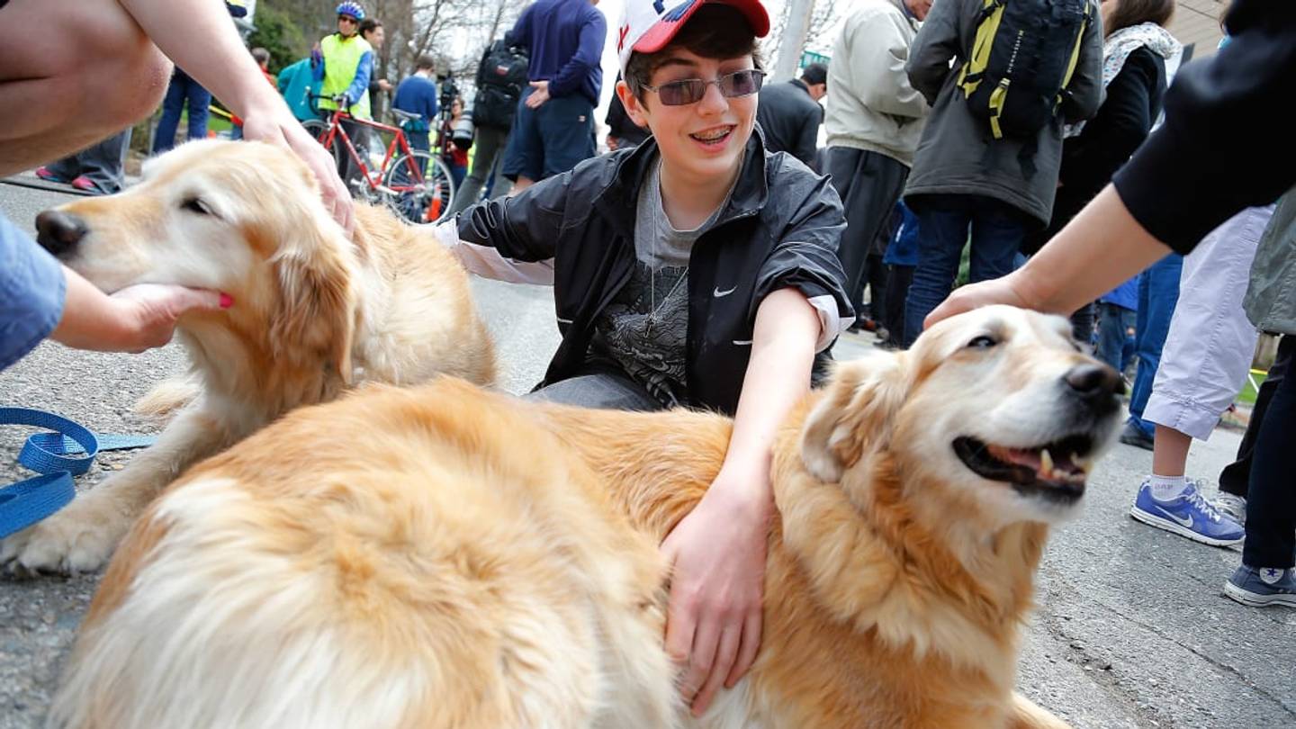 Instances of Therapy Dogs Providing Comfort After Tragedies