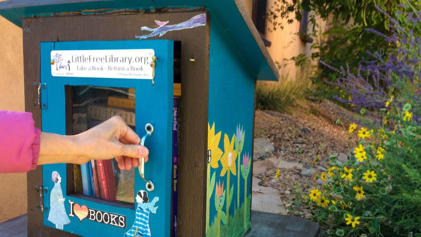 Little Free Library Classification System Small Wonders: 11 Facts About Little Free Libraries