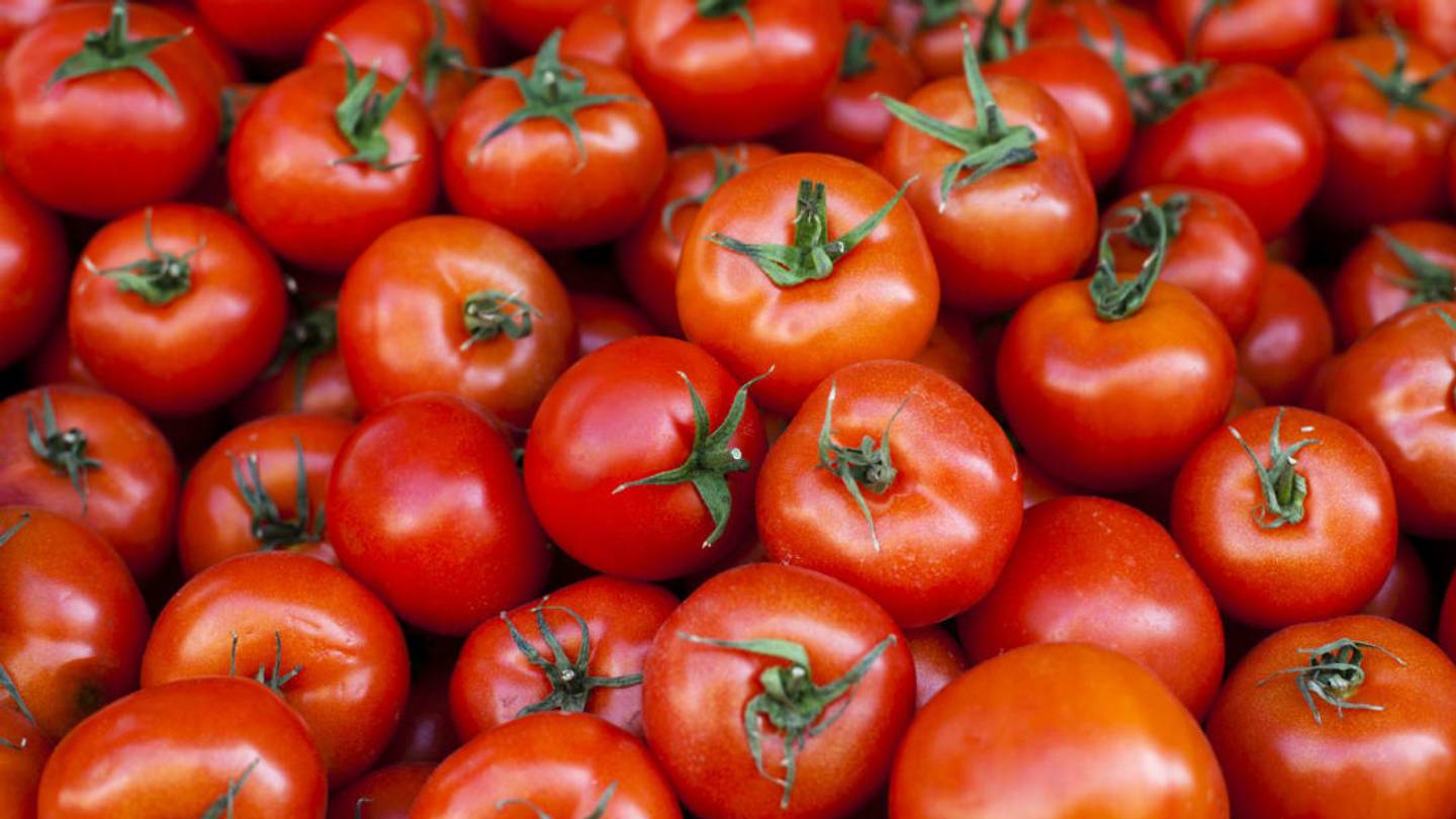 Is a Tomato a Fruit?
