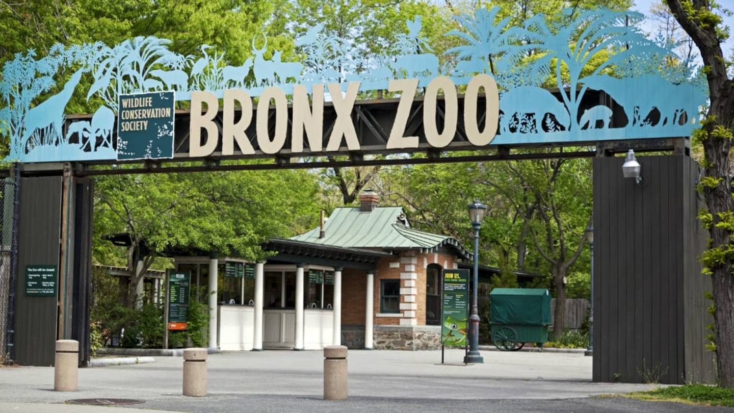 9 Wild Facts About the Bronx Zoo